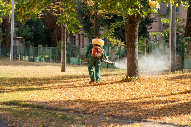 Best Best Pest Control Companies  in New Cordell, OK