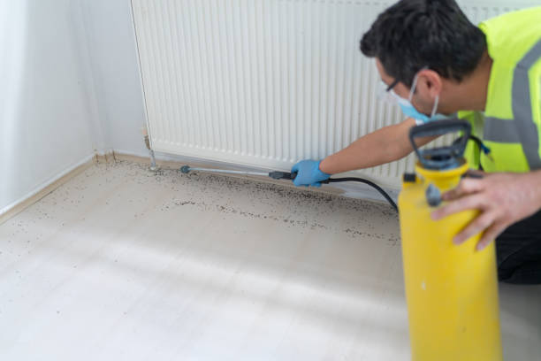 Best Residential Pest Control  in New Cordell, OK