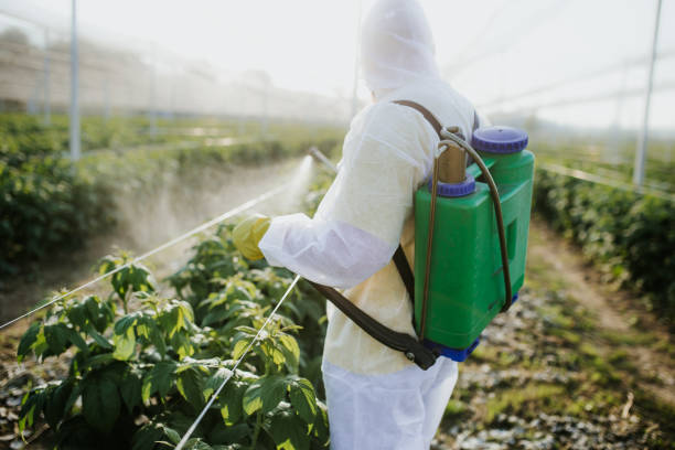 Pest Control Cost in New Cordell, OK